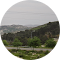 review-img